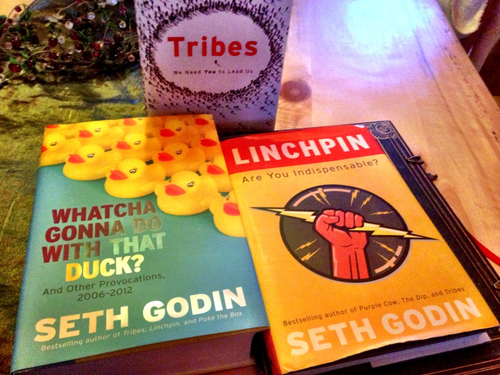 13 Seth Godin