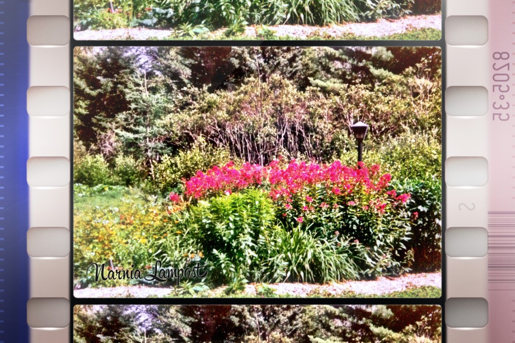 4 CS Lewis Narnia lamppost