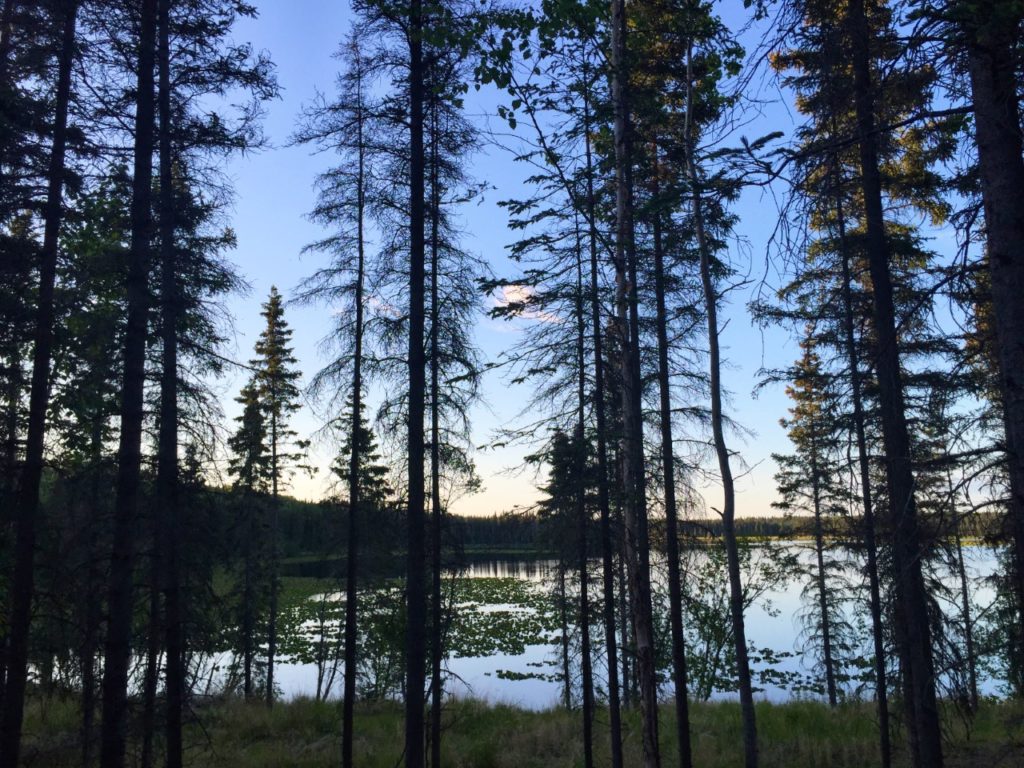 pollard-lake-kasilof-alaska-memorial-day-2016-pegge-erkeneff